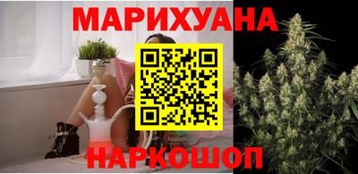 сатива Краснознаменск