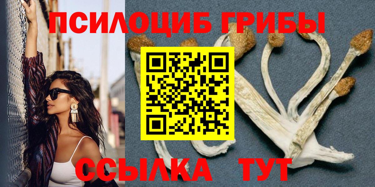 Ипатово  Галлюциногенные грибы прущие грибы  Вход с VPN  Галлюциногенные грибы MAGIC MUSHROOMS 